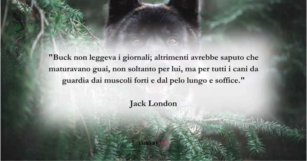 La frase di Jack London su Buck, il cane suo amico fedele