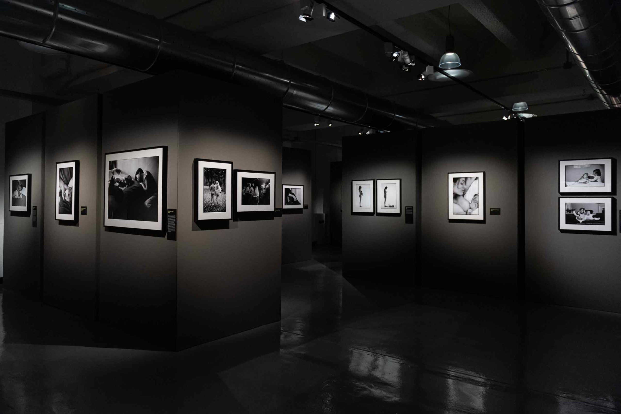 erwitt