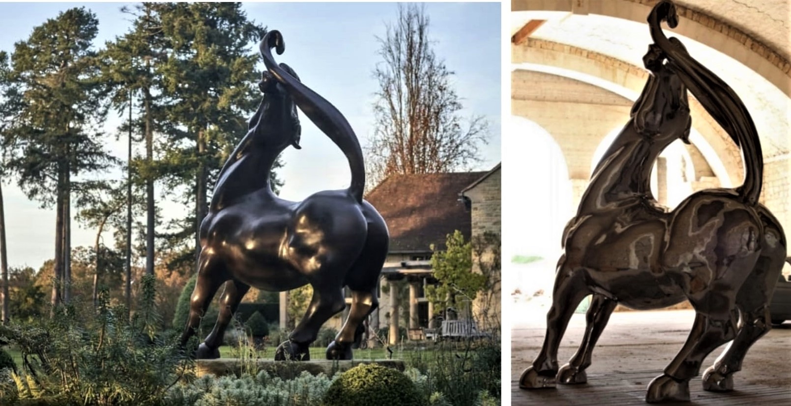 Cavallo nella tenuta toscana di Roberto Cavalli.