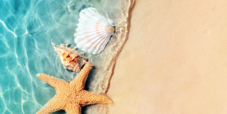 Fotolia 210075031 Subscription Monthly M