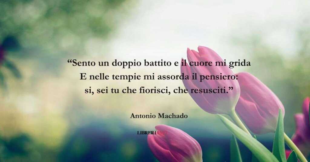 I versi di Antonio Machado sulla nascita di un nuovo amore