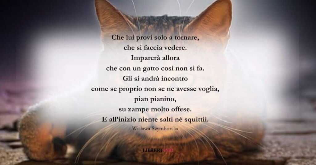 I versi di Wislawa Szymborska sul non offendere i gatti