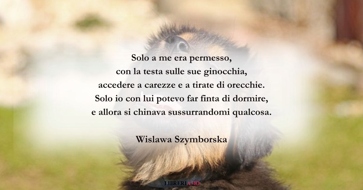 I versi di Wislawa Szymborska sulla fedeltà perenne dei cani 3 I versi di Wislawa Szymborska sulla fedeltà perenne dei cani