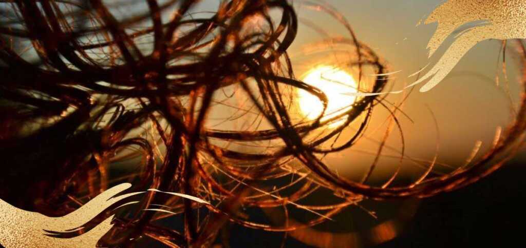 La ciocca ritrovata", Apollinaire e la dolce malinconia del ricordo