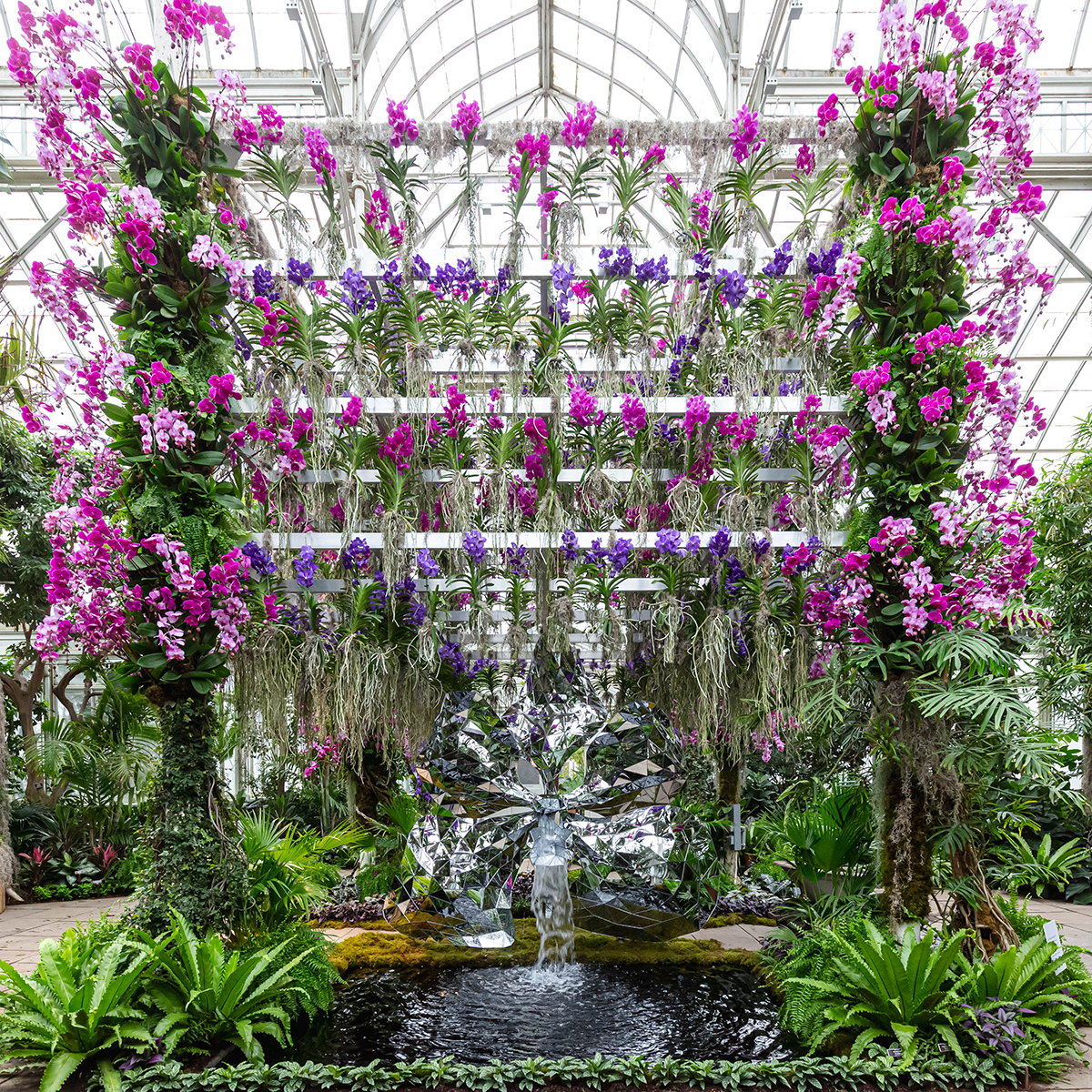 NYBG orchid show Kaleidoscope Jeff Leatham 1