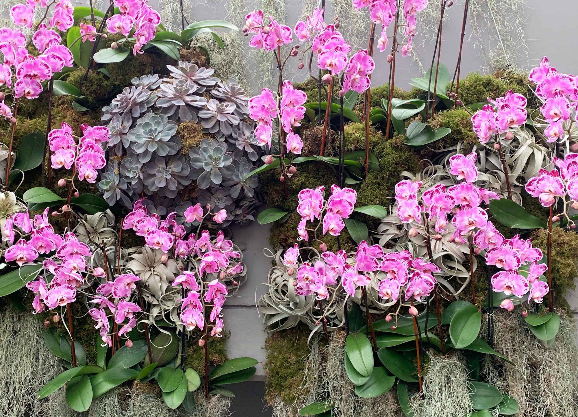NYBG orchid show Kaleidoscope Jeff Leatham 24
