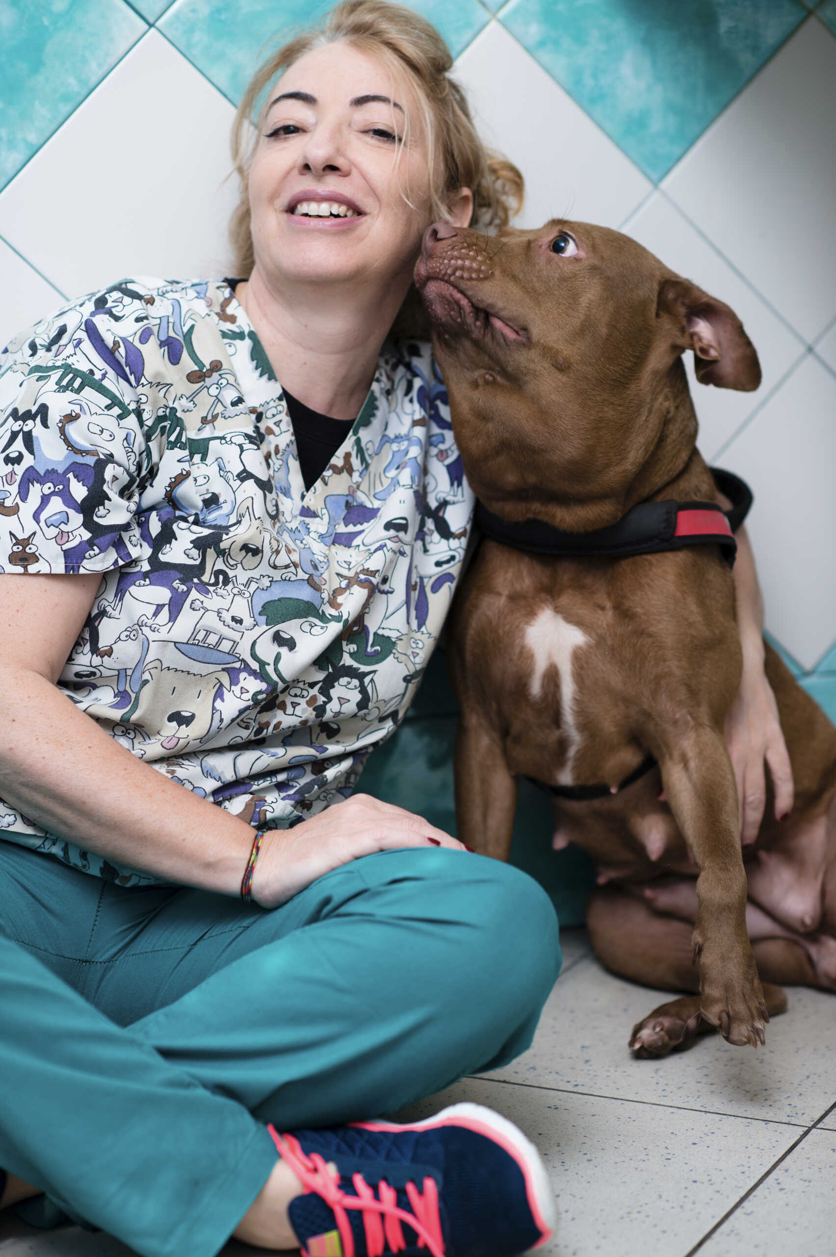 monica pais palla animali come noi