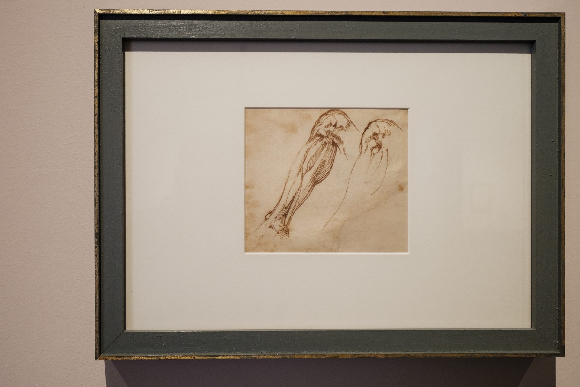 michelangelo