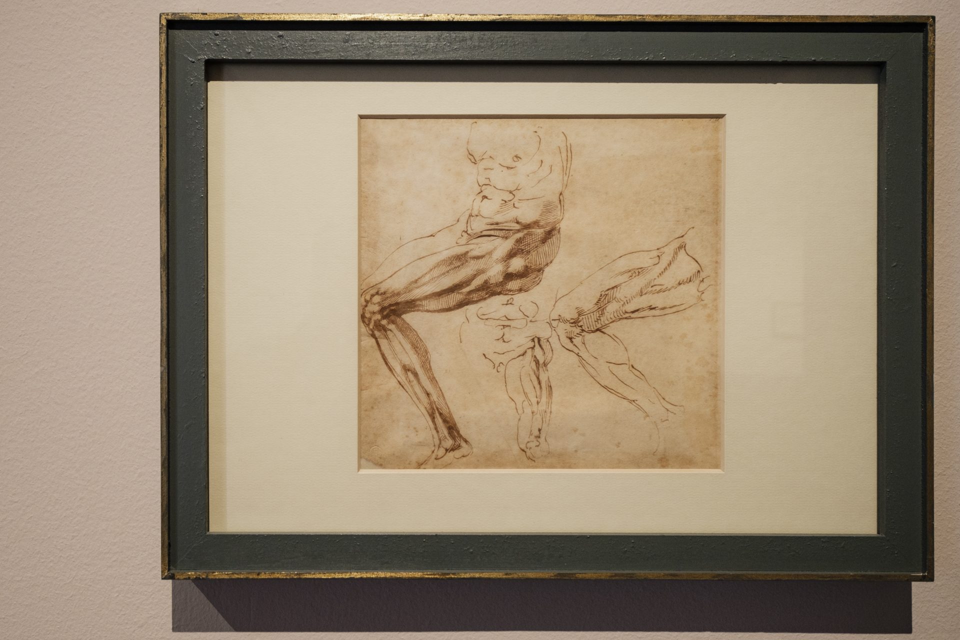 michelangelo