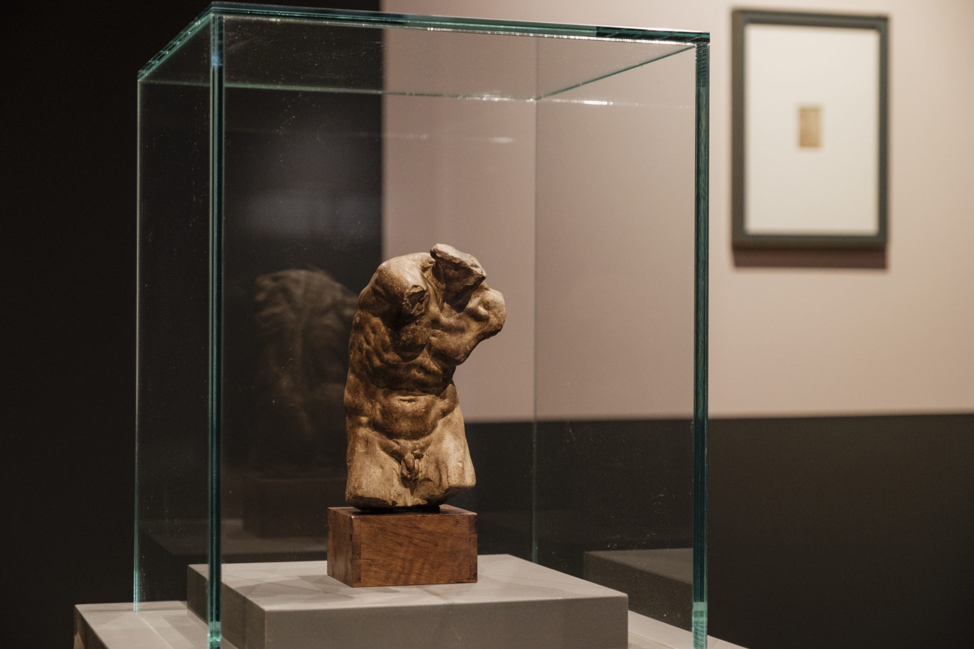 michelangelo