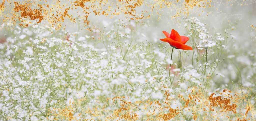 piccolo principe, un’emozionante poesia sul sentirsi diversi