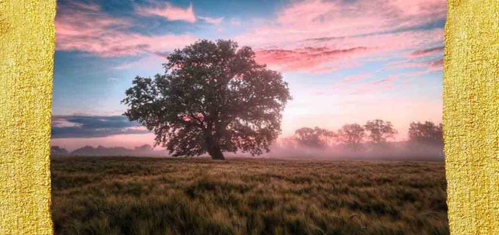 “Alla natura”, la poesia di Coleridge che celebra l'ambiente