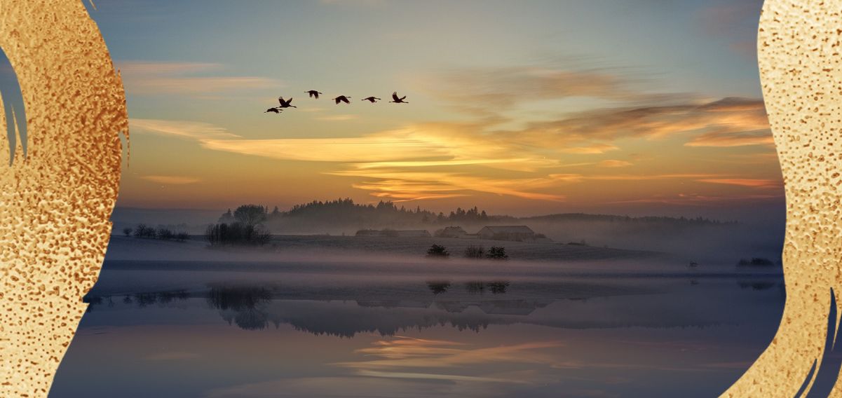 "All'alba il dolore è stanco", la poesia sui migranti di Tahar Ben Jelloun 3 "All'alba il dolore è stanco". la poesia sui migranti di Tahar Ben Jelloun