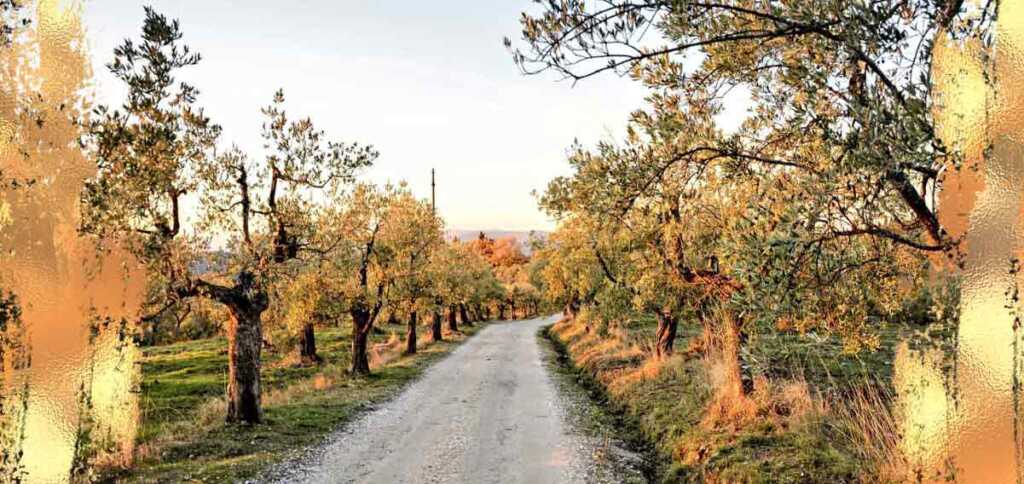 Pirandello e il ritorno ai luoghi amati nella poesia “Ritorno. La via”
