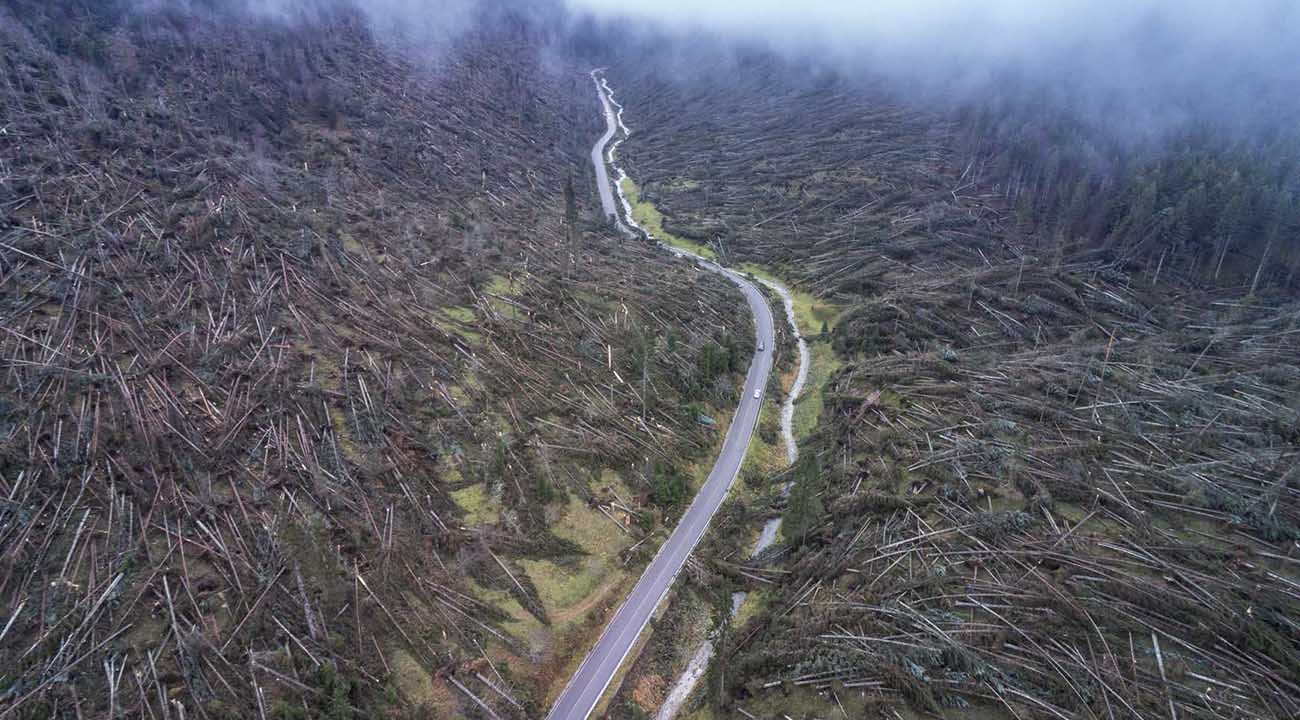 Schianto della tempesta Vaia Friuli VG Trentino Veneto