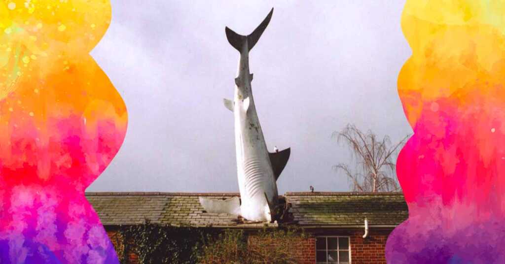 Headington Shark