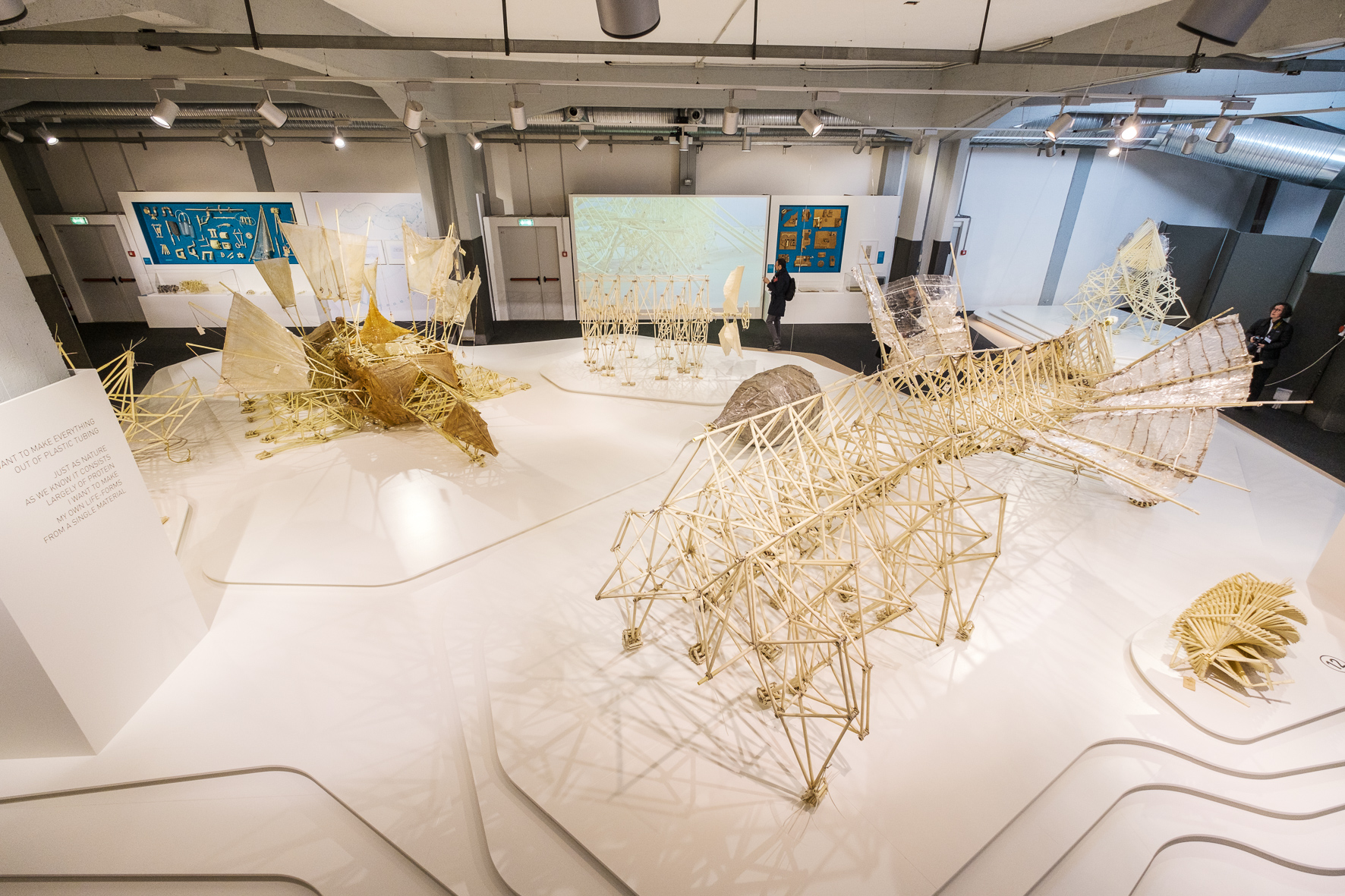Theo Jansen Dream Beasts©Paolo Soave MuseoNazionaleScienzaTecnologia 0038