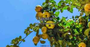 "Agosto" di Federico García Lorca, poesia sul valore della terra e dell'infanzia