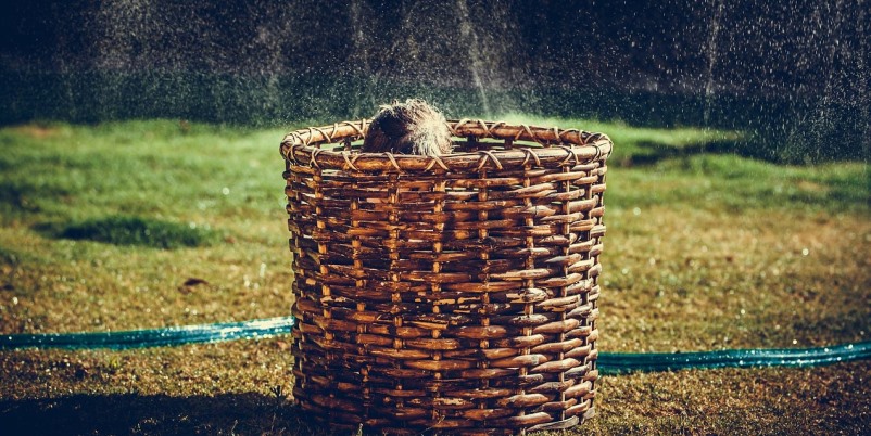 Era d’agosto - Racconto di Agata Bonanno