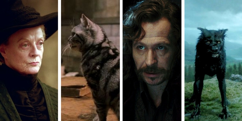 Che tipo di animagus sei? Scoprilo con questo test!