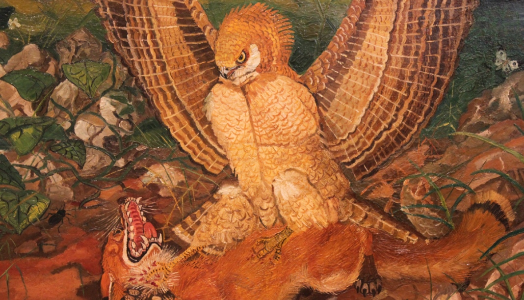 L'aquila e la Poesia annunciatrici della primavera 9 L'aquila e la Poesia annunciatrici della primavera