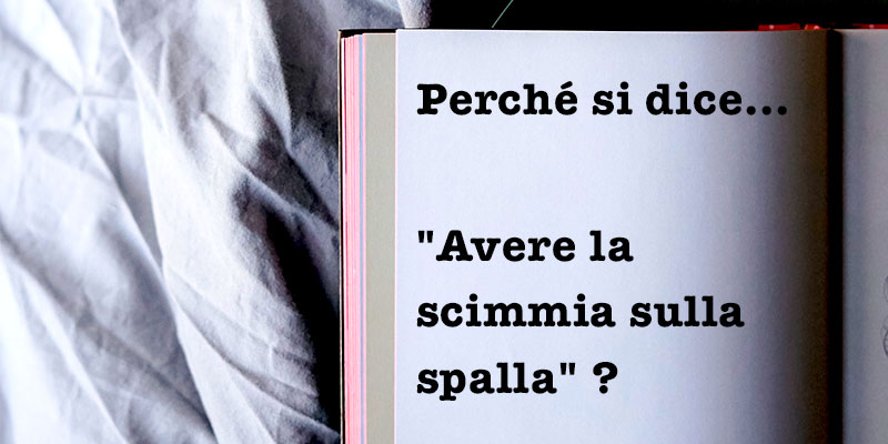 Perché si dice..."Avere la scimmia sulla spalla" ?