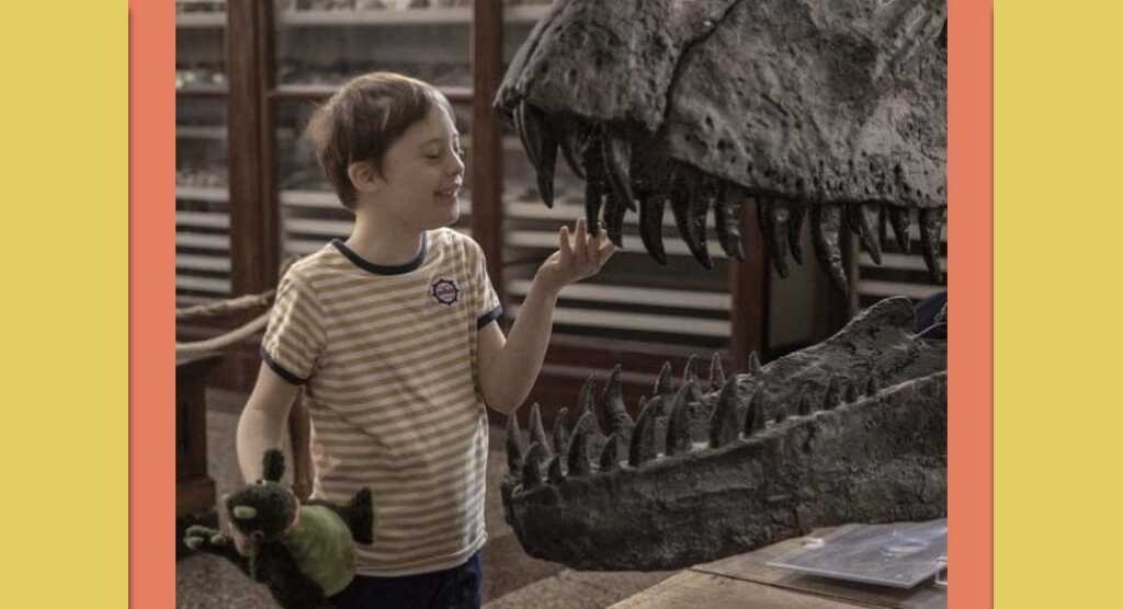 Il best seller Mio fratello rincorre i dinosauri di Mazzario diventa un film