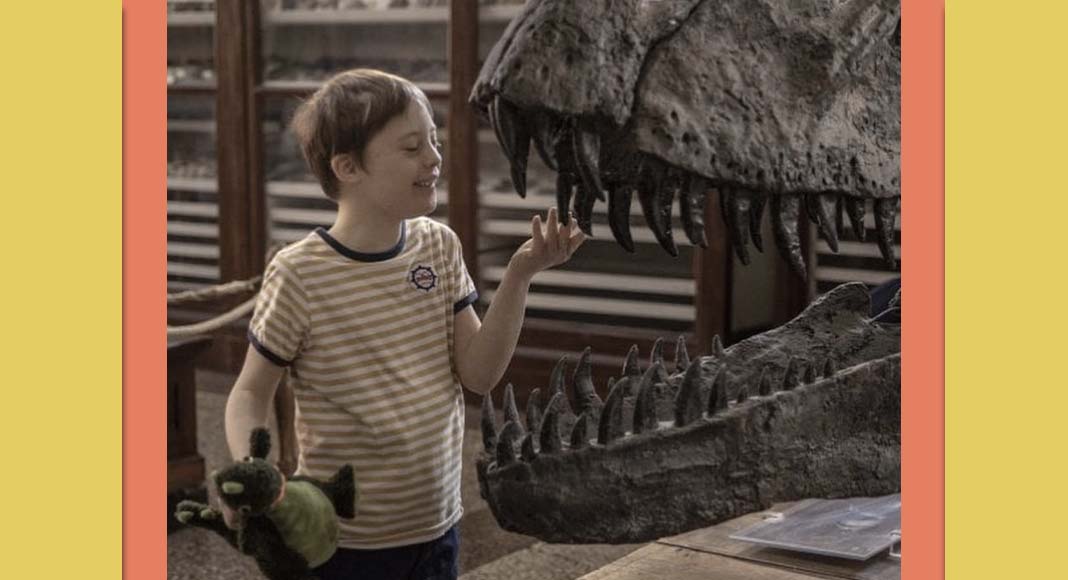 Il best seller "Mio fratello rincorre i dinosauri" di Mazzariol diventa un film 7 Il best seller Mio fratello rincorre i dinosauri di Mazzario diventa un film