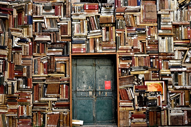 books 1655783 640
