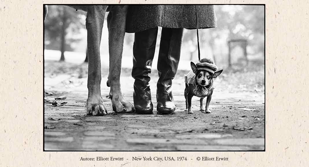 “Elliott Erwitt. Family”, 60 scatti del fotografo americano in mostra a Milano 3 copertina-erwitt