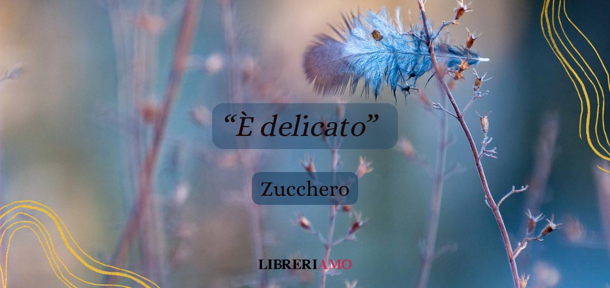 "È delicato" di Zucchero, una canzone sull'amore che resta oltre la fine 8 è delicato