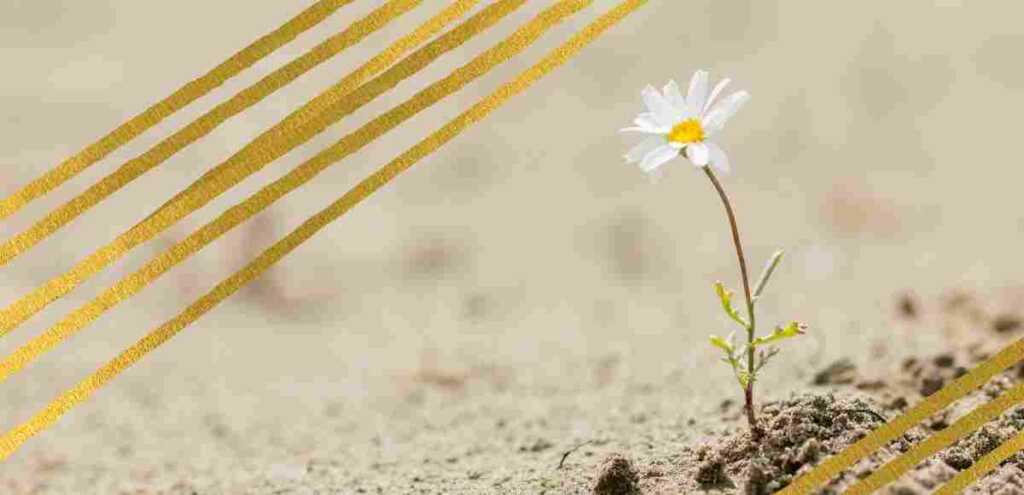 E la vita cammina quasi dritta, una poesia sulla resilienza