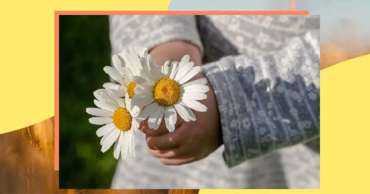 Perché è importante educare alla gentilezza fin da piccoli 7 Perché è importante educare alla gentilezza fin da piccoli