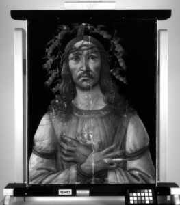 vir dolorum
