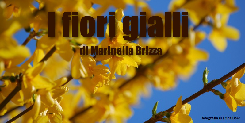 fiori gialli