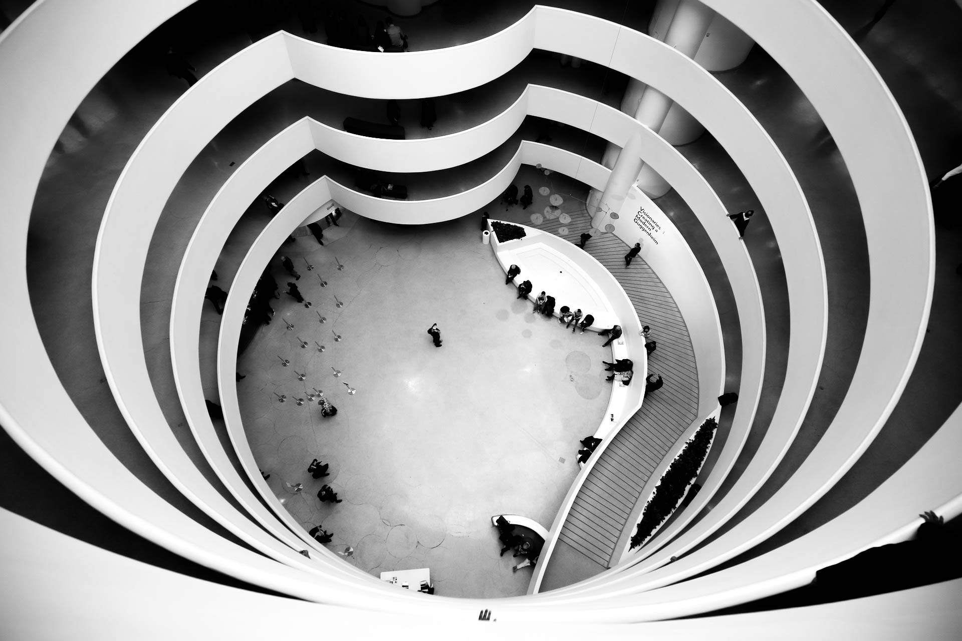 Il Guggenheim Museum di New York compie 60 anni 6 frank lloyd wright 2998377 1920