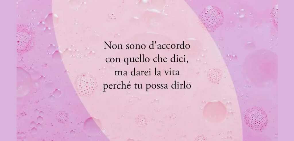 "Non sono d'accordo con quello che dici, ma darei la vita perché tu possa dirlo" di Evelyn Beatrice Hall