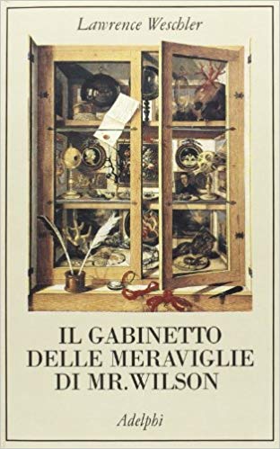 gabinetto meraviglie wilson