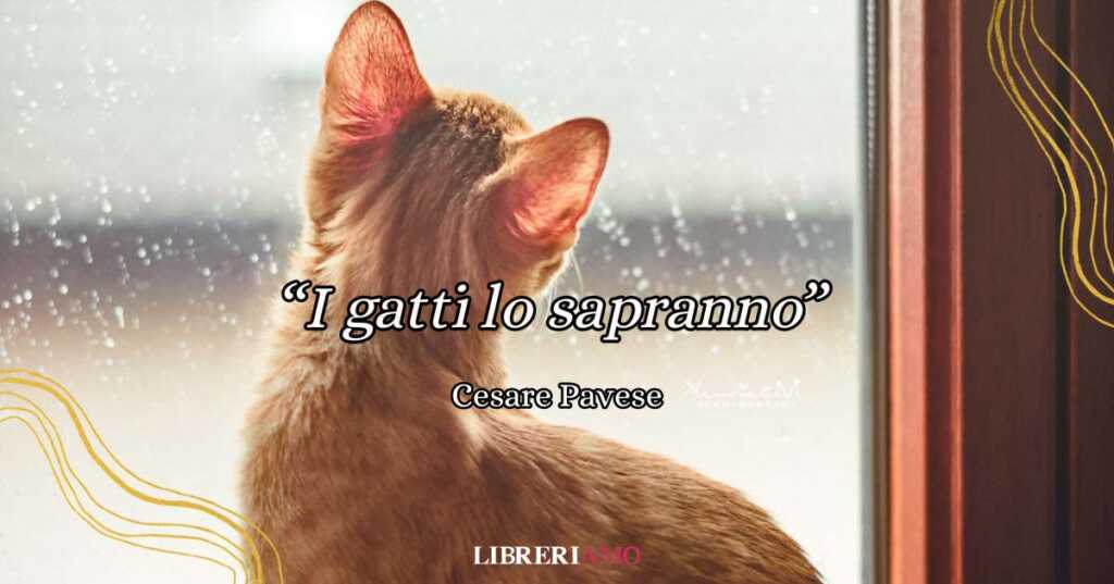 "I gatti lo sapranno", una malinconica poesia di Cesare Pavese sulla lontananza in amore