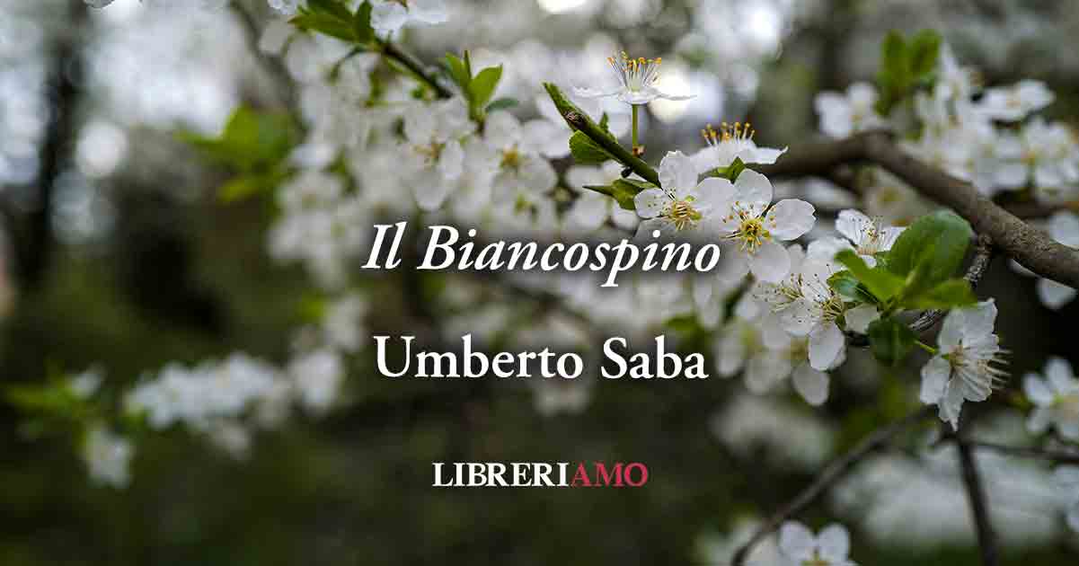 "Il Biancospino" di Umberto Saba: poesia che annuncia la primavera 1 "Il Biancospino" di Umberto Saba: poesia che annuncia la primavera