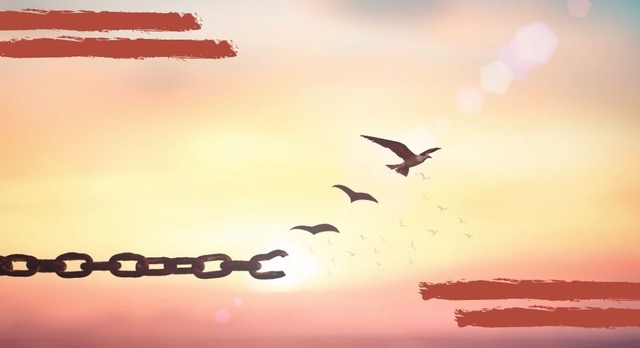 Gabbiani, la poesia come metafora sull’importanza della libertà