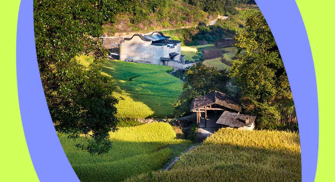 La libreria nascosta in una spettacolare risaia cinese 1 libreria-cinese-risaia
