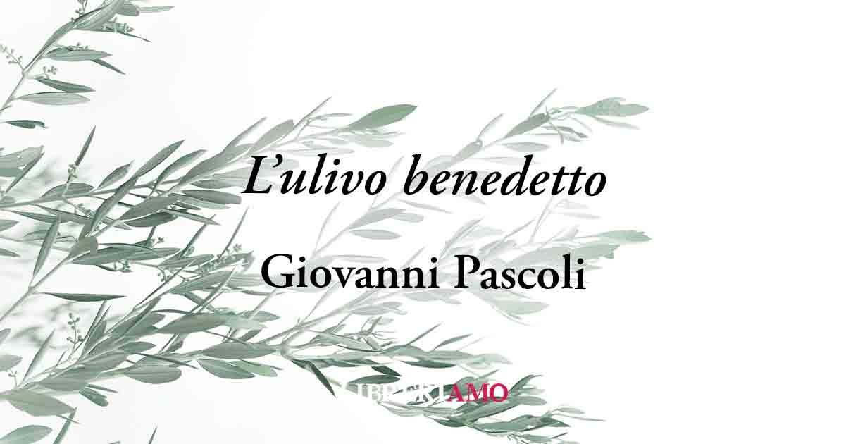 "L'ulivo benedetto" (1904) di Giovanni Pascoli poesia sul valore della pace 6 "L'ulivo benedetto" (1904) di Giovanni Pascoli poesia sul valore della pace