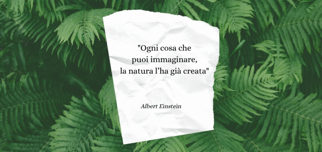 "Ogni cosa che puoi immaginare, la natura l’ha già creata" di Albert Einstein