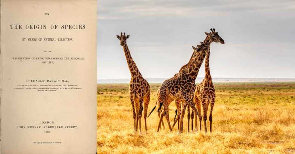 L'Origine della Specie il libro di Charles Darwin