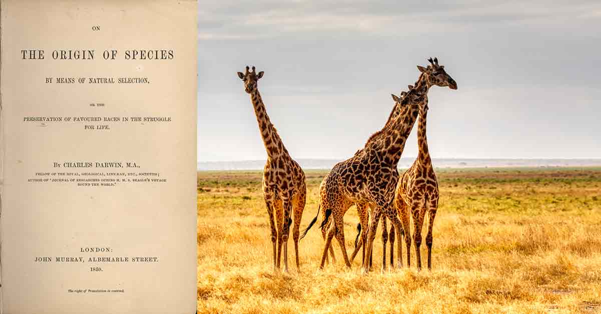 L'Origine della Specie il libro di Charles Darwin