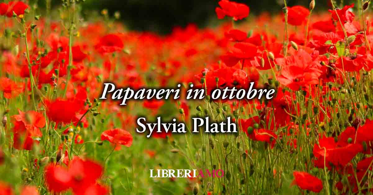 "Papaveri in ottobre" (1962) di Sylvia Plath, irresistibile poesia di una donna fragile contro l'indifferenza 10 "Papaveri in ottobre" (1962) di Sylvia Plath, stupenda poesia di una donna fragile contro l'indifferenza