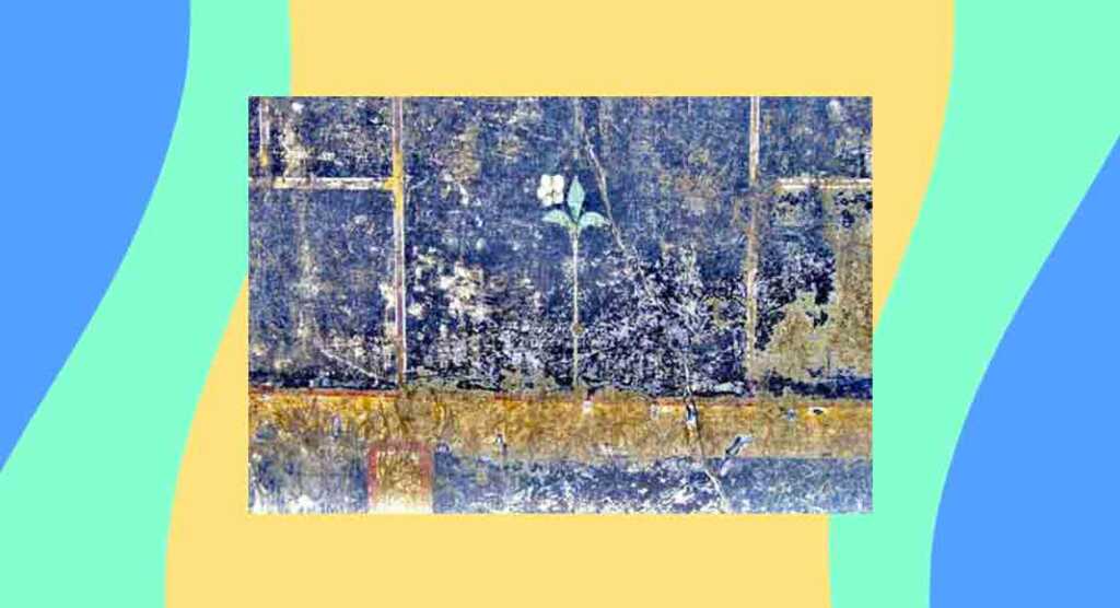 Riapre Pompei e spunta il mistero della scritta "mummia"