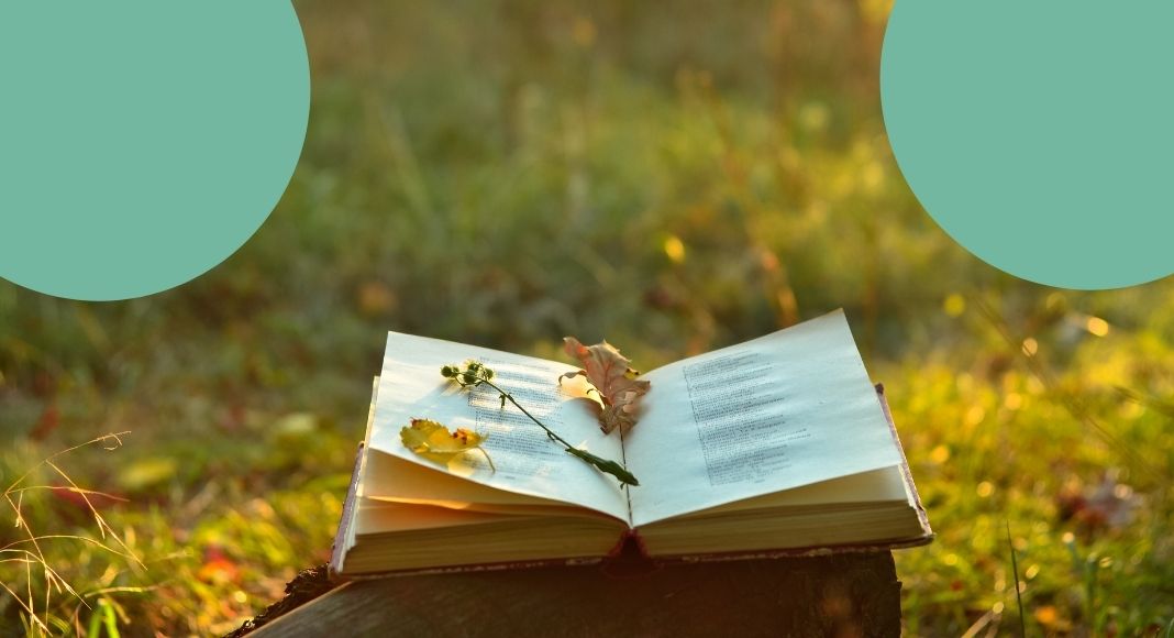 La breve poesia di Rupi Kapur sull'insicurezza in amore