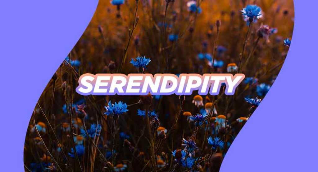 serendipity